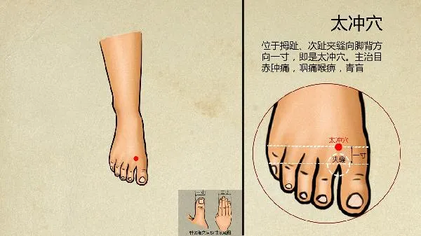 鹅爪风中医的辨证论治