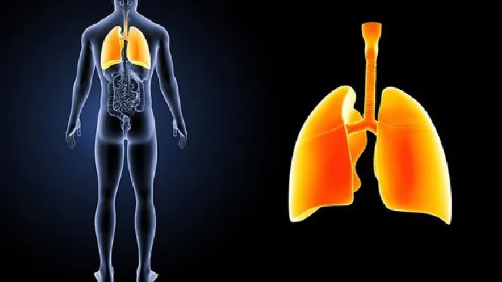 X光检查肺癌靠谱吗？肺癌筛查还是要这种检查