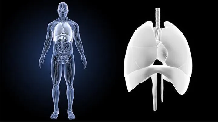 中央型肺癌诊断标准是什么？中央型肺癌有三项诊断标准