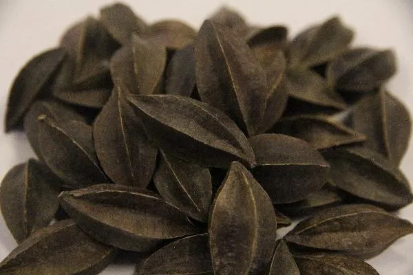 中医认为老年人干燥综合征的病因