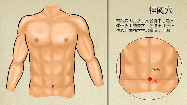 尿酸高是什么原因引起的中医药方