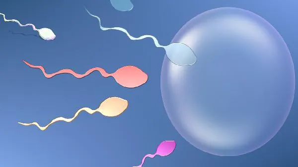 男性不育真的不会怀孕吗