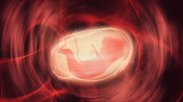 胎儿三尖瓣轻微反流是怎么引起的