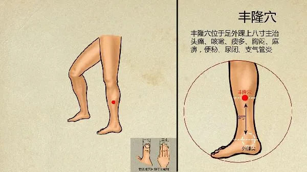 中医当中把肺脏比喻成什么