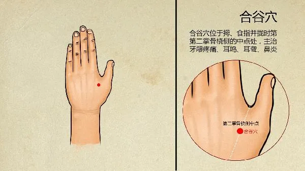 中医斑秃如何治疗
