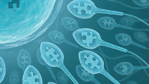 一般精子进去后多久怀孕