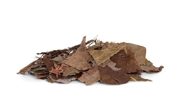 中药加热能不能用微波炉