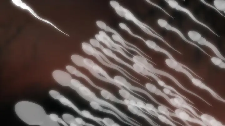 人工授精一般几次成功