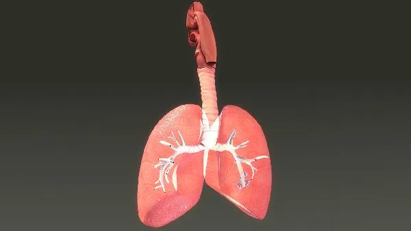 病毒性肺炎治疗药物
