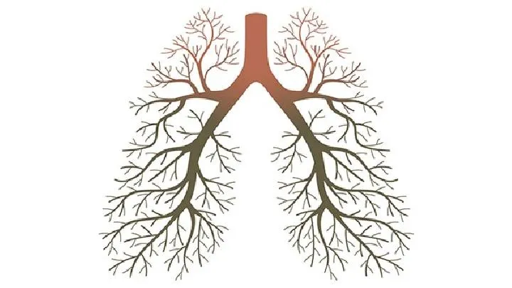 肺癌的主要致病因素有哪些 盘点肺癌的三大高危因素