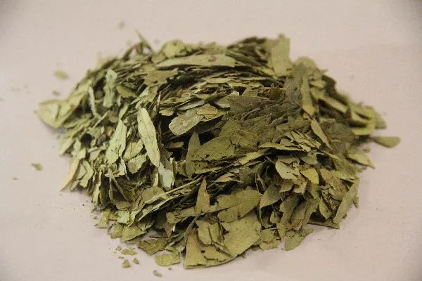 喝中药上火是好事吗