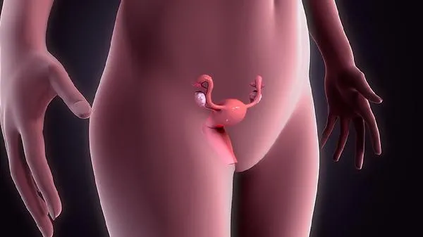 输卵管结核用药期间能同房吗