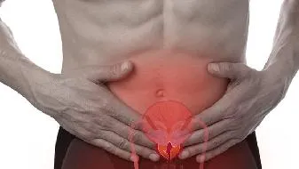 男女最佳生育年龄是多少