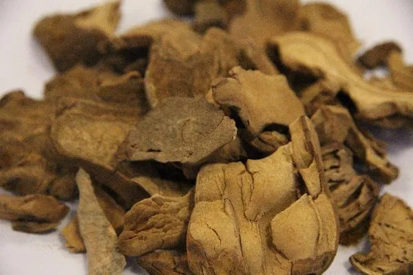 腺肌症吃中药可以治好吗