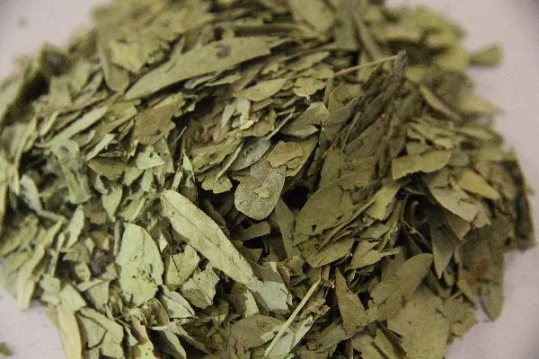 中药祛湿气最好的方法