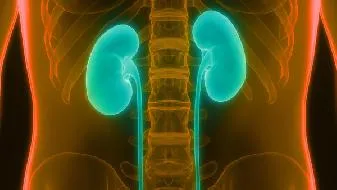 预防糖尿病肾病的方法有哪些？糖尿病肾病有哪些征兆
