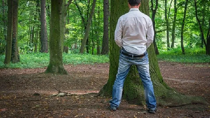阳痿来袭该怎么治疗好 男人硬不起来是啥原因导致的？