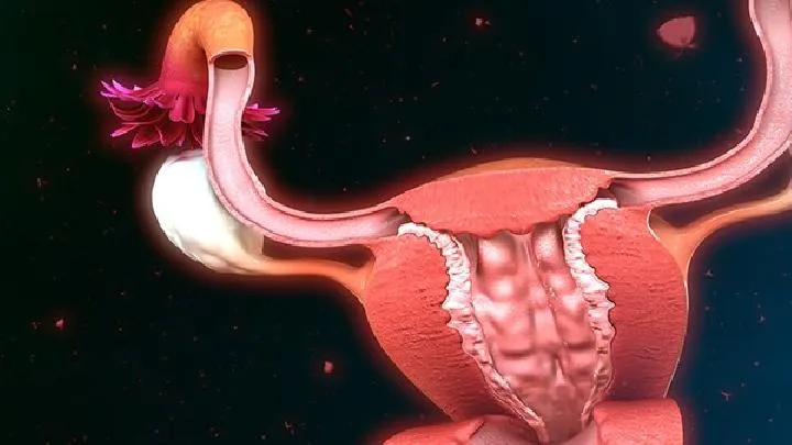 治疗女性输卵管堵塞的药方