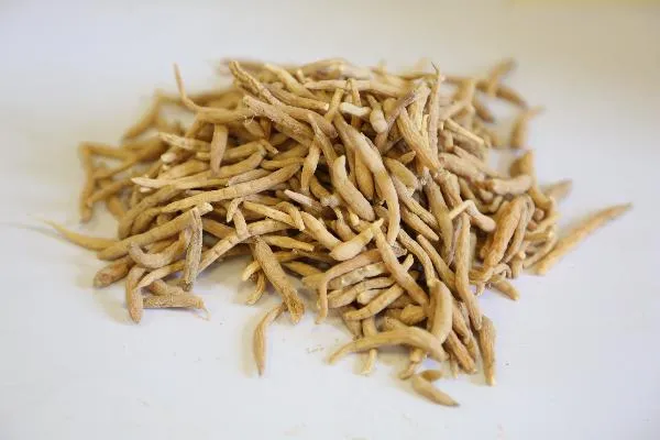 中药加热能不能用微波炉