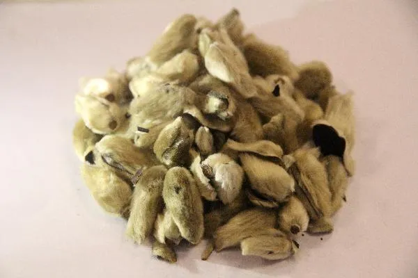 喝中药后几小时能喝水