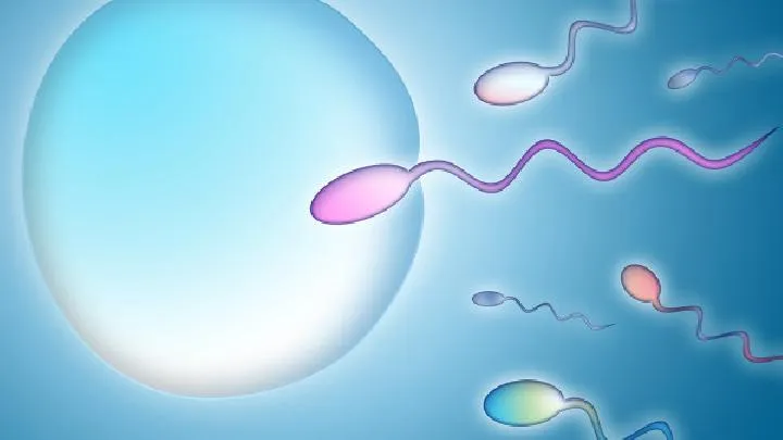 不育的男人要做什么检查 男性不育症多与环境有关？