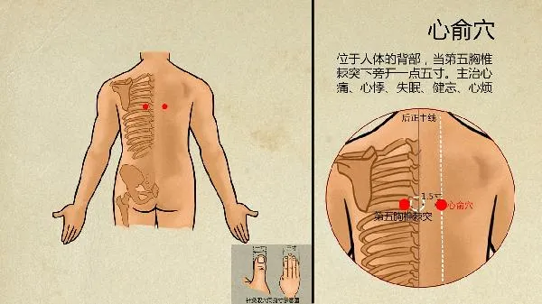 自慰中医可以看出来吗