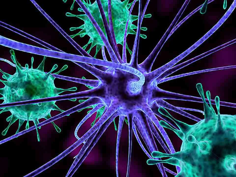 尖锐湿疣潜伏期检查手段有哪些
