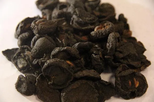 老年三宝是哪几味中药