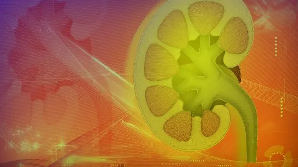 肾盂肾炎能吃哪些菜呢