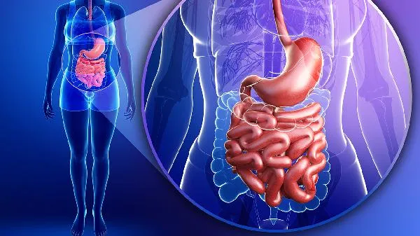 反流性食管炎不能吃红薯吗