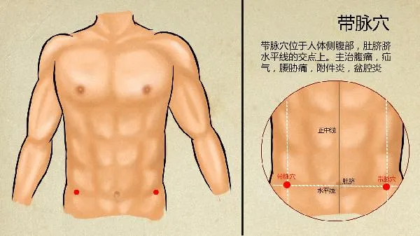 中医管免疫力叫什么名字