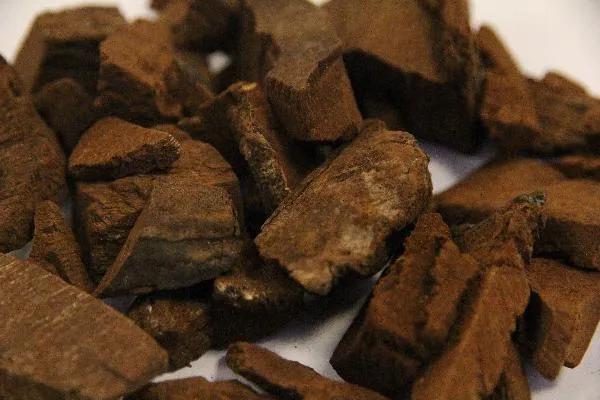 男性抗癫药物对胎儿有影响吗