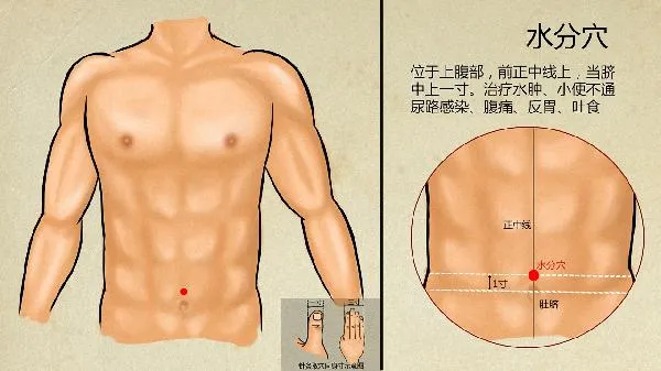 中医怎么治疗老年痴呆