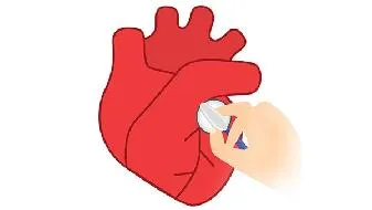 怀孕能吃的水果有什么？怀孕吃什么水果对胎儿最好？