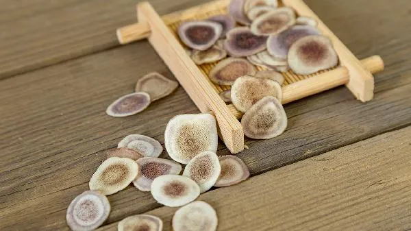 头孢类药物的使用注意事项