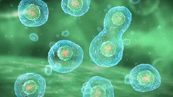 患有高血压的人能接种新冠第三针吗 接种新冠疫苗应该注意什么