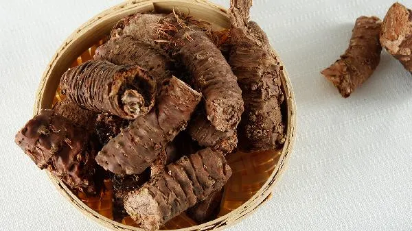 红景天对胎儿的致畸率