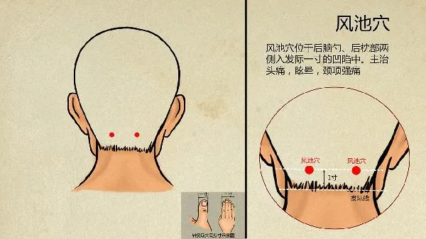 老年痴呆中医如何治疗