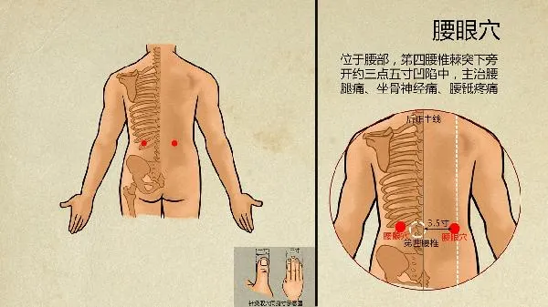 老年痴呆中医如何治疗