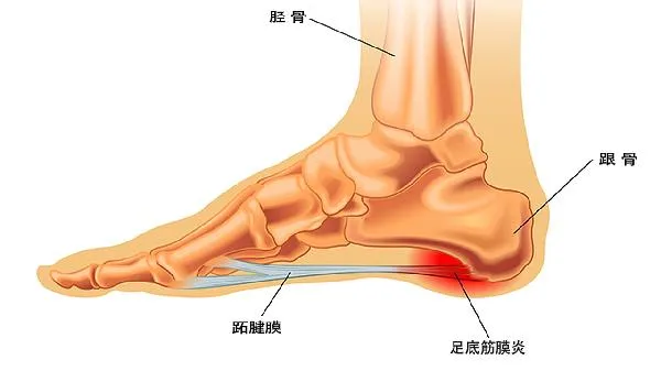 宝宝手心脚心烫体温38