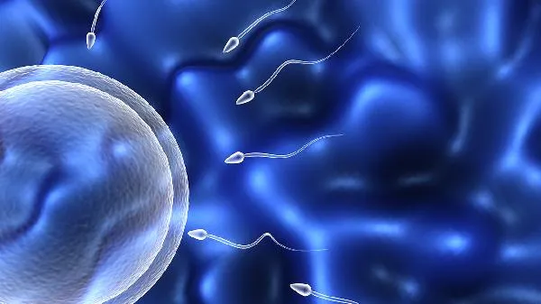 喝酒后精子几天恢复正常