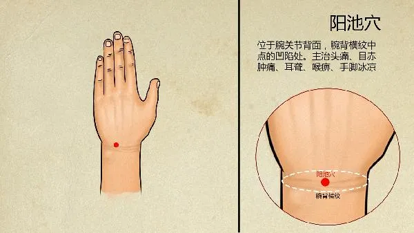 即墨中医院体检多少钱