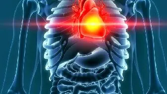 心跳快一点寿命短一点