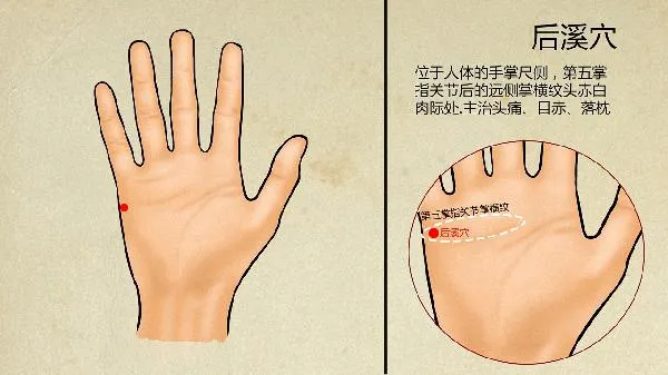 中医治疗玫瑰痤疮的效果怎么样