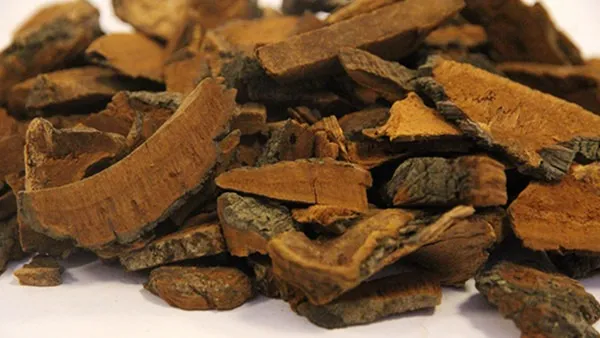 吃中药可以喝酸奶吗 喝中药时要注意什么