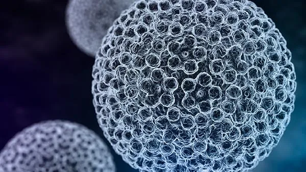 前庭大腺囊肿怎么消炎快点
