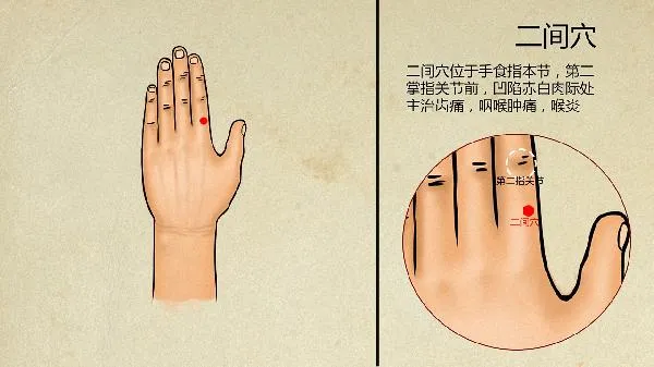 中医怎么治疗脂溢性皮炎