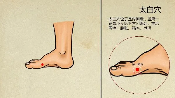 中医怎么治疗过敏性紫癜