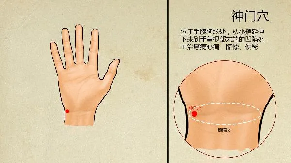 中医怎么治疗过敏性紫癜