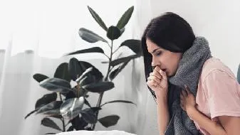 印度议员称每天喝牛尿所以没得新冠 这种说法可靠吗